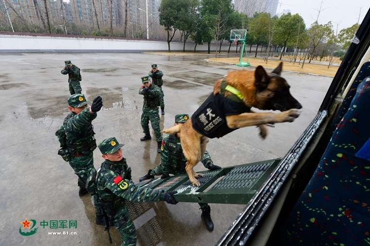 澳门一码一肖100,涵盖了广泛的解释落实方法_2024款 两厢 1.4L 手动标准版AKRX7004